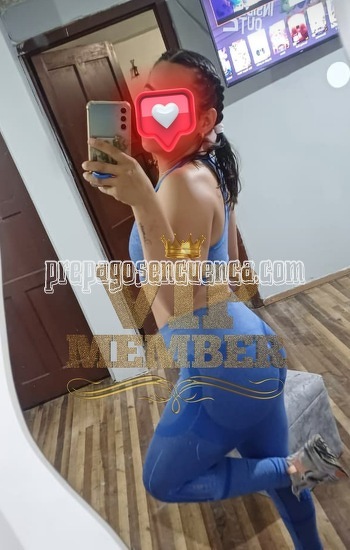 LINDA GATITA SUCA